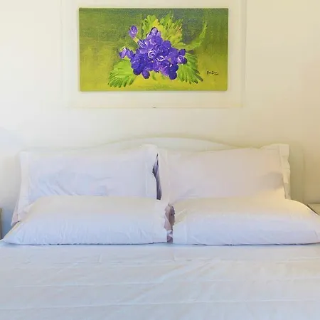 Tenuta Solomita